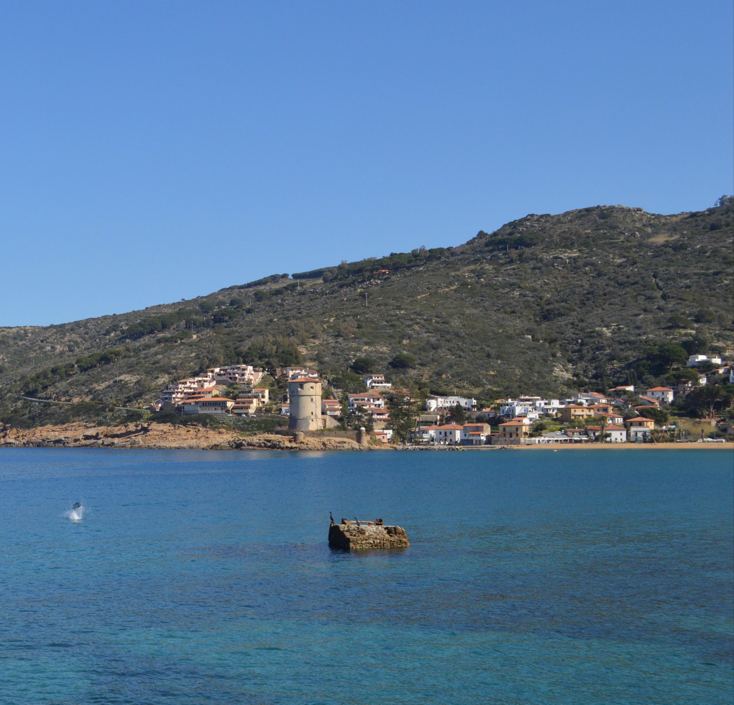 avvistamento dei delfini nella Riserva della Biosfera Isole di Toscana