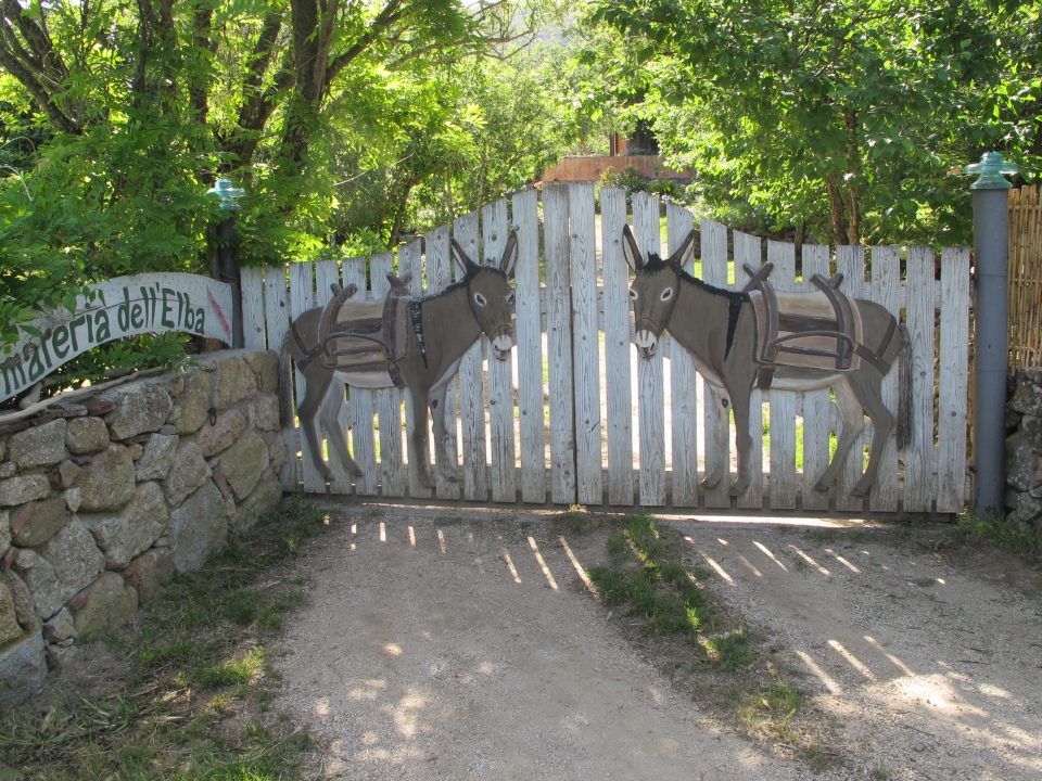 Riserva-della-Biosfera-Isole-di-Toscana-somareria-dell'elba