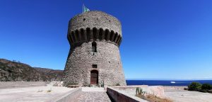 Torre del Porto a Capraia