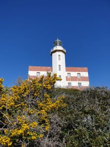 Faro di Capel Rosso - Isola del Giglio