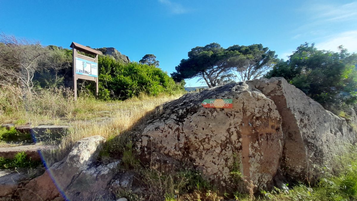 Percorso Botanico Capraia - Riserva della Biosfera Isole di Toscana