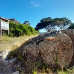 Percorso Botanico Capraia - Riserva della Biosfera Isole di Toscana