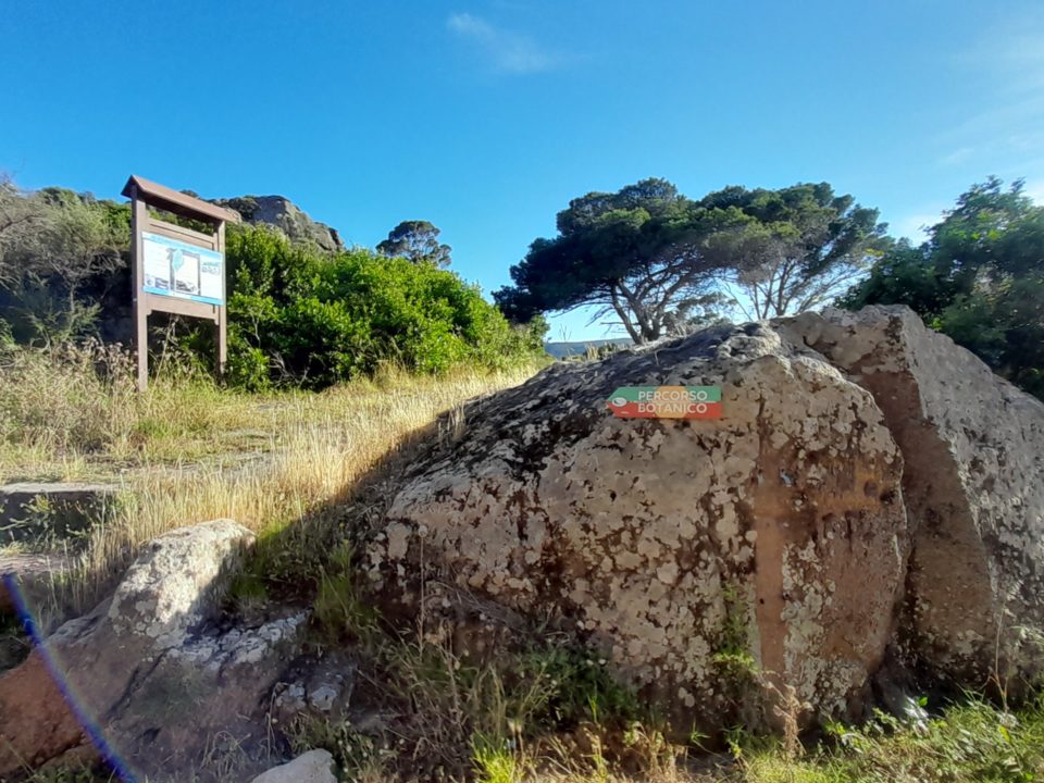 Percorso Botanico Capraia - Riserva della Biosfera Isole di Toscana